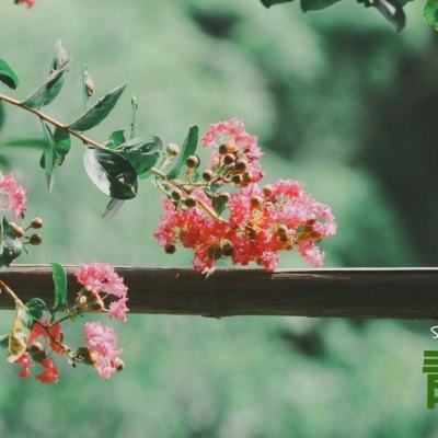 博鱼半岛在线登录